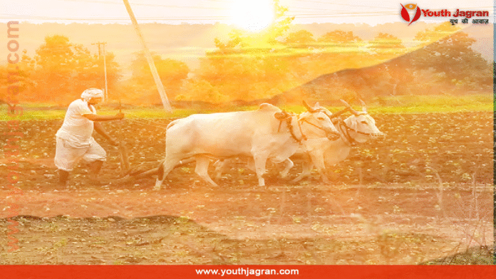 kisan