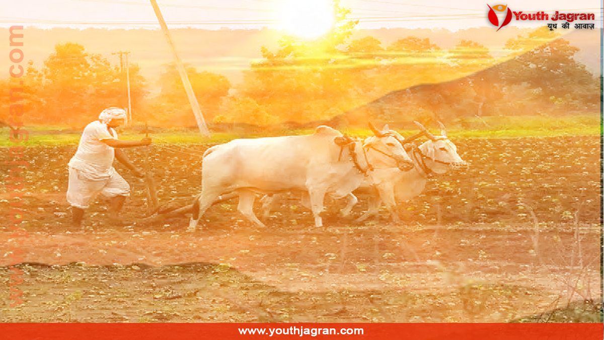 kisan