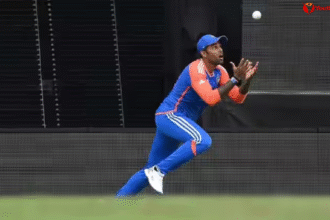 Catch Rule in Cricket