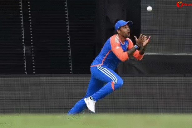 Catch Rule in Cricket