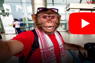 Bandar Apna Dost YouTube Earnings