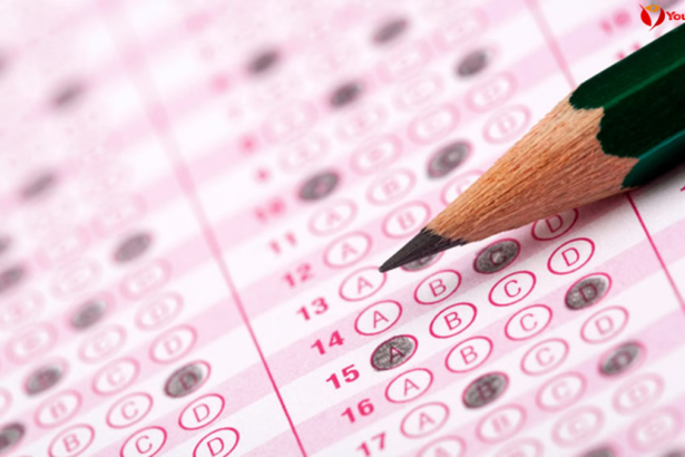 CTET 2026 Answer Key Released